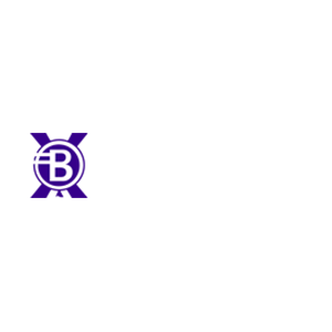 Balloon-X 