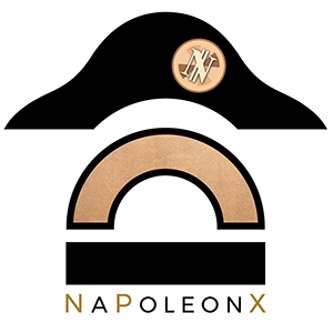 NapoleonX ico